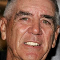 R. Lee Ermey quotes