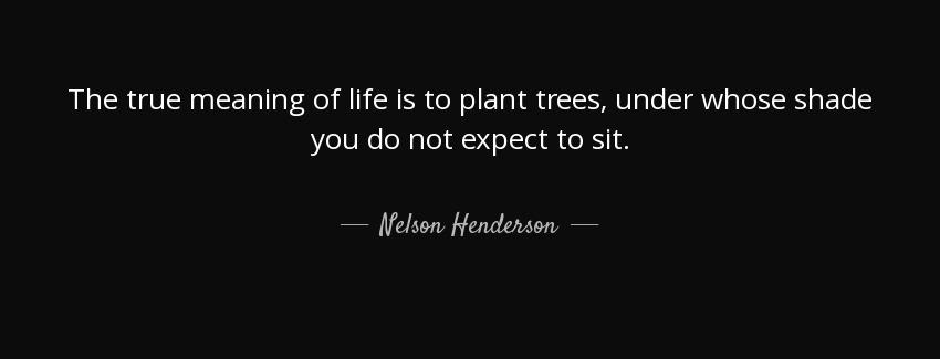 quote the true meaning of life is to plant trees under whose shade you do not expect to sit nelson henderson Quotes