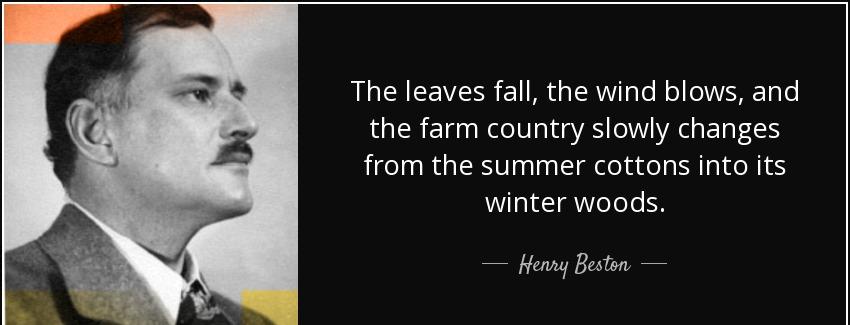 quote the leaves fall the wind blows and the farm country slowly changes from the summer cottons henry beston Quotes