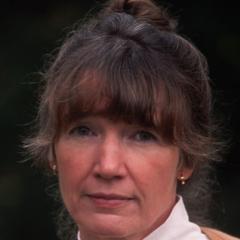 Anne Tyler quotes