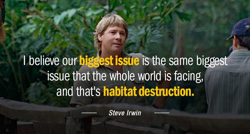 Quotation Steve Irwin I believe our biggest issue is the same biggest issue Quotes