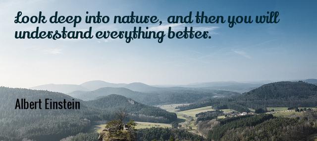 Quotation Albert Einstein Look deep into nature and then you will understand everything Quotes