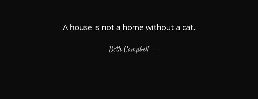 quote a house is not a home without a cat beth campbell Quotes