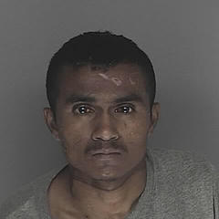 Francisco Lopez quotes