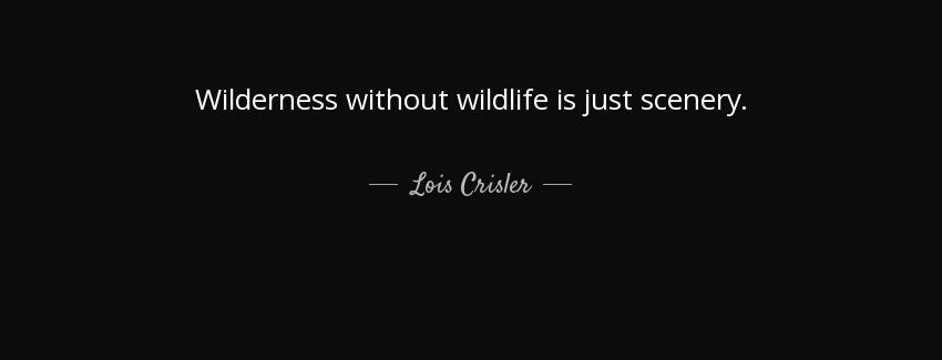 quote wilderness without wildlife is just scenery lois crisler Quotes