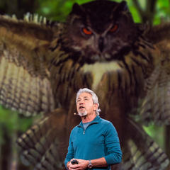 Louis Schwartzberg quotes