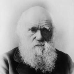 Charles Darwin quotes