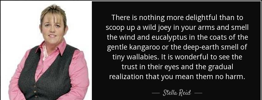 quote there is nothing more delightful than to scoop up a wild joey in your arms and smell stella reid Quotes