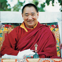 Tarthang Tulku quotes