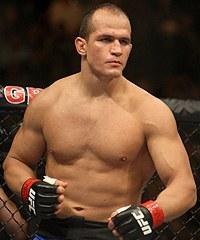 Junior dos Santos quotes