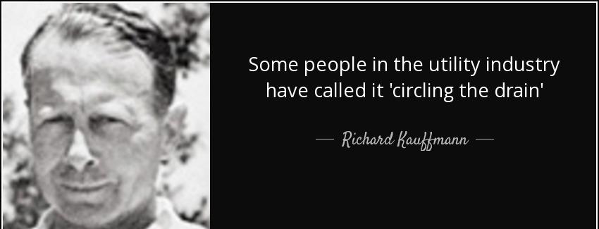 quote some people in the utility industry have called it circling the drain richard kauffmann Quotes