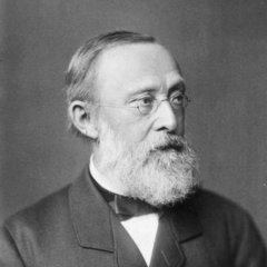 Rudolf Virchow quotes
