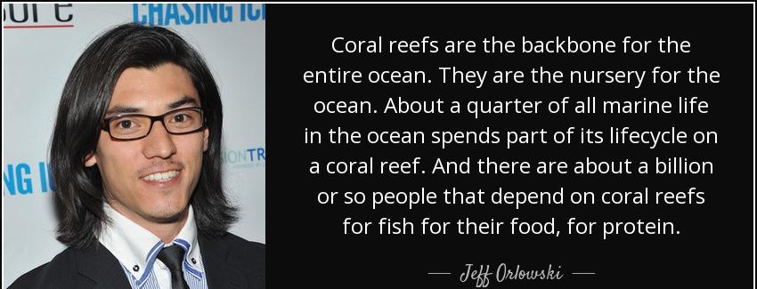 quote coral reefs are the backbone for the entire ocean they are the nursery for the ocean jeff orlowski Quotes