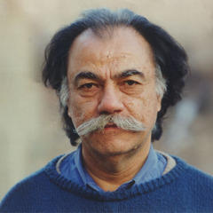 Morteza Momayez quotes