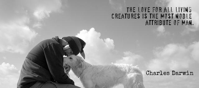 Quotation Charles Darwin The love for all living creatures is the most noble Quotes