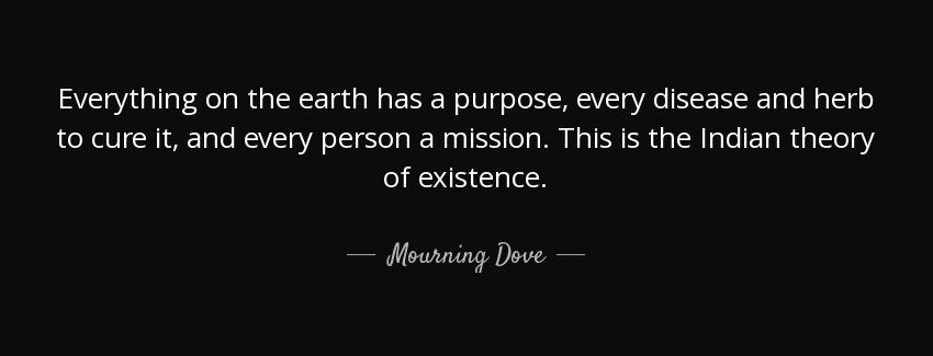 quote everything on the earth has a purpose every disease and herb to cure it and every person mourning dove Quotes